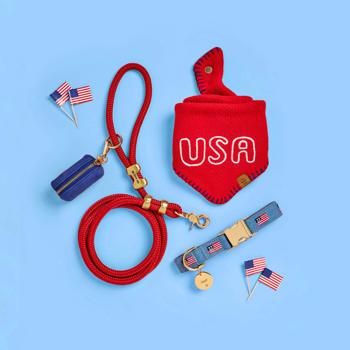 Circle Pet ID Tag: Star Icon