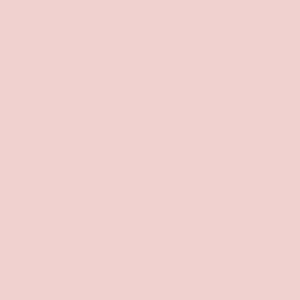 Blush Pink Dog Collar