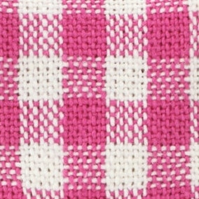 Hot Pink Gingham Harness Walk Set