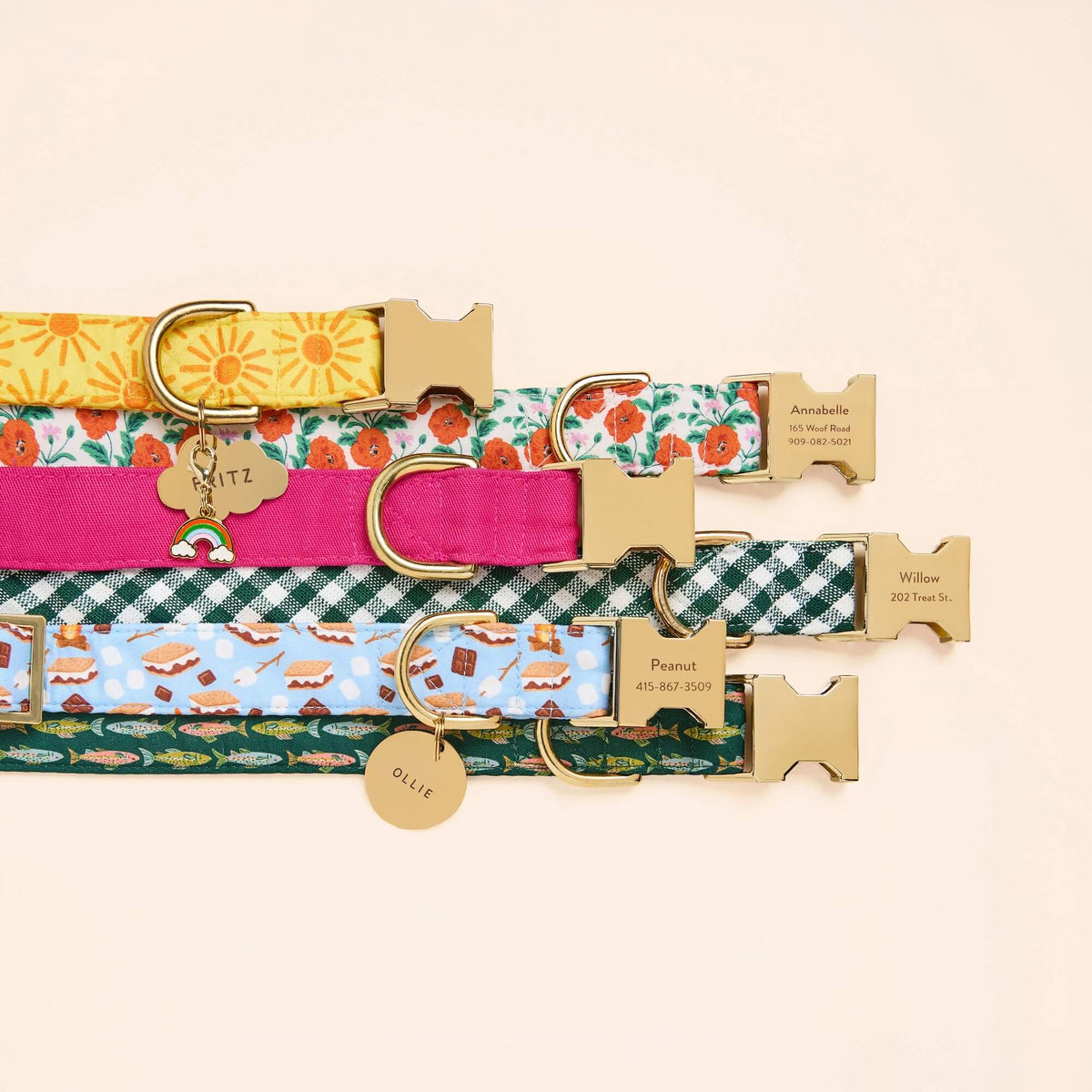 S’more to Love Dog Collar