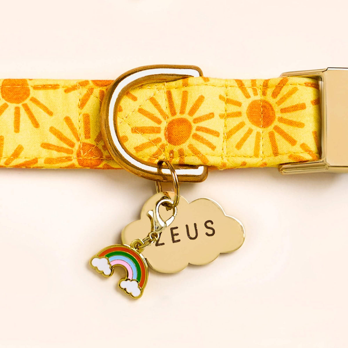 Rainbow Collar Charm