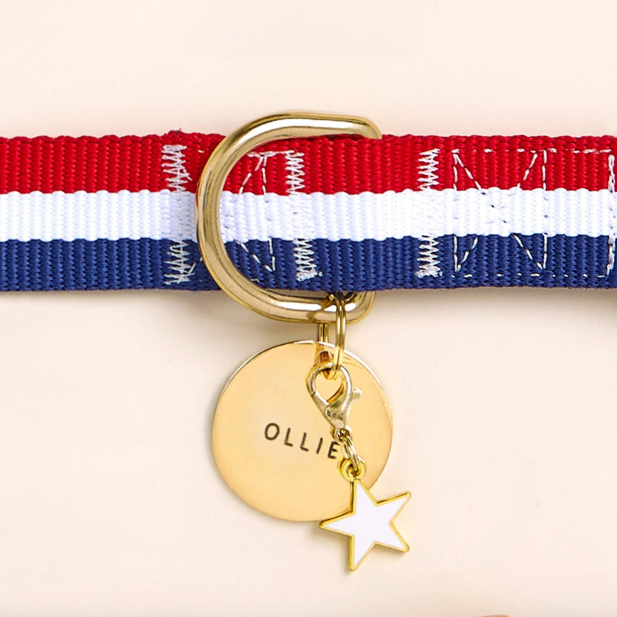 White Star Collar Charm