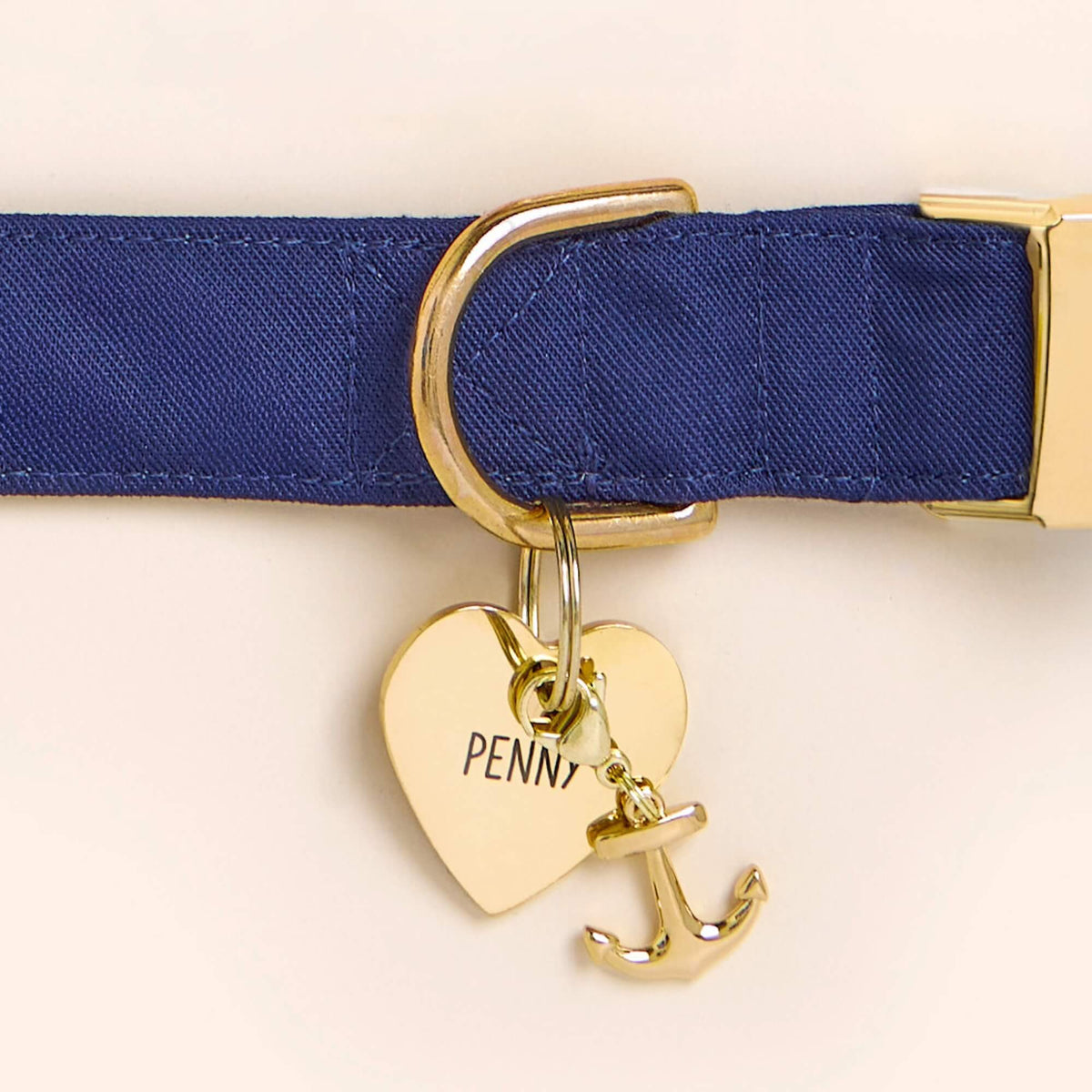 Heart Pet ID Tag: Anchor Icon