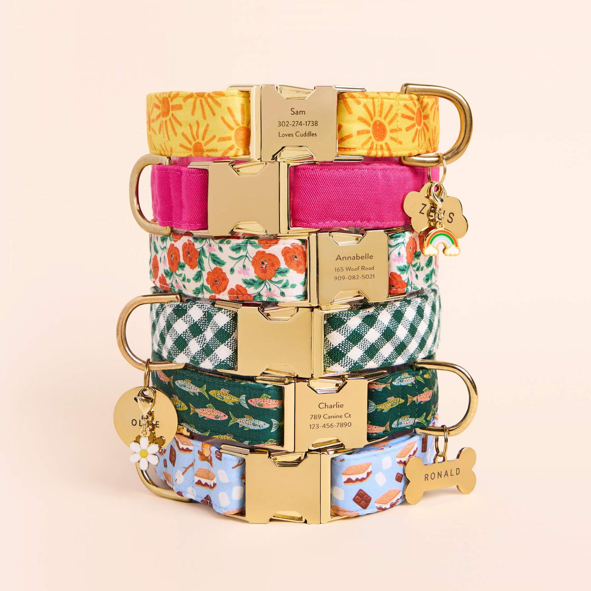Rainbow Collar Charm