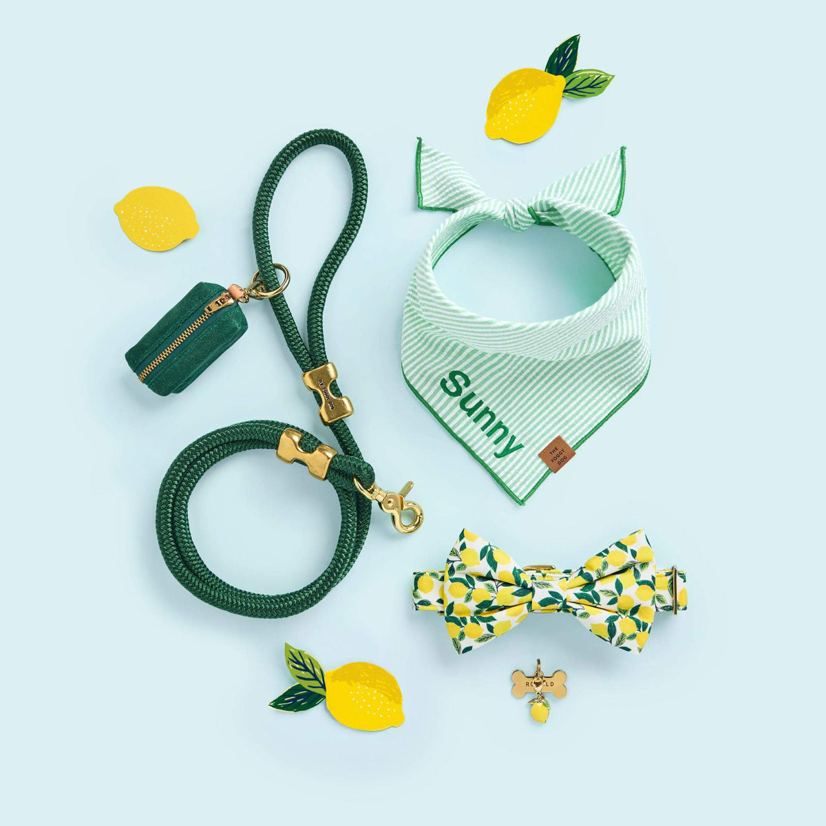 Lemon Zest Collar Walk Set