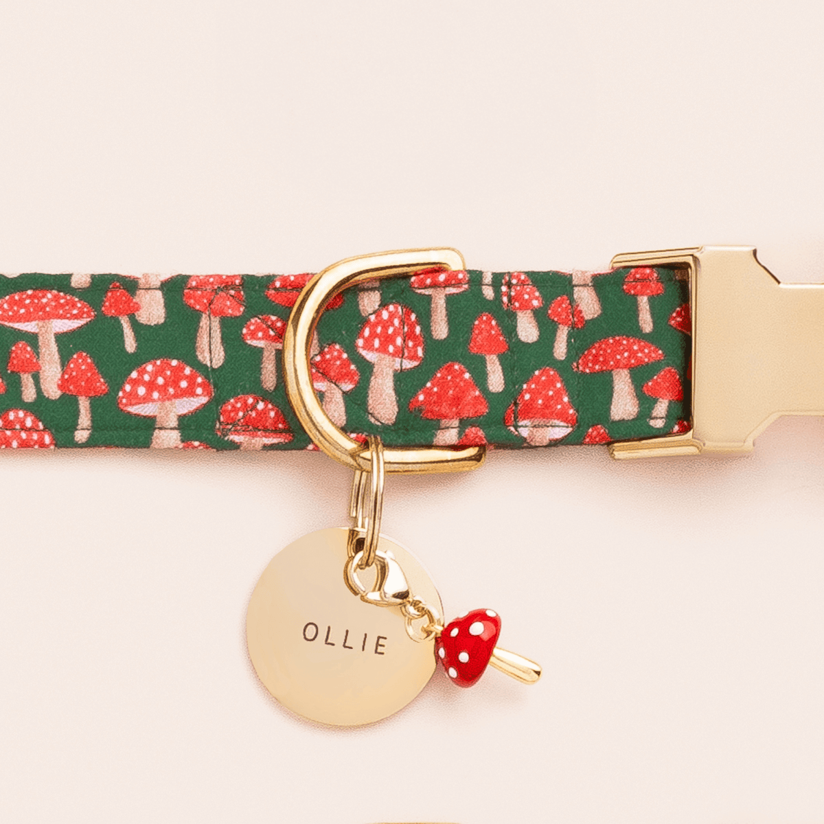 Toadstool Collar Charm