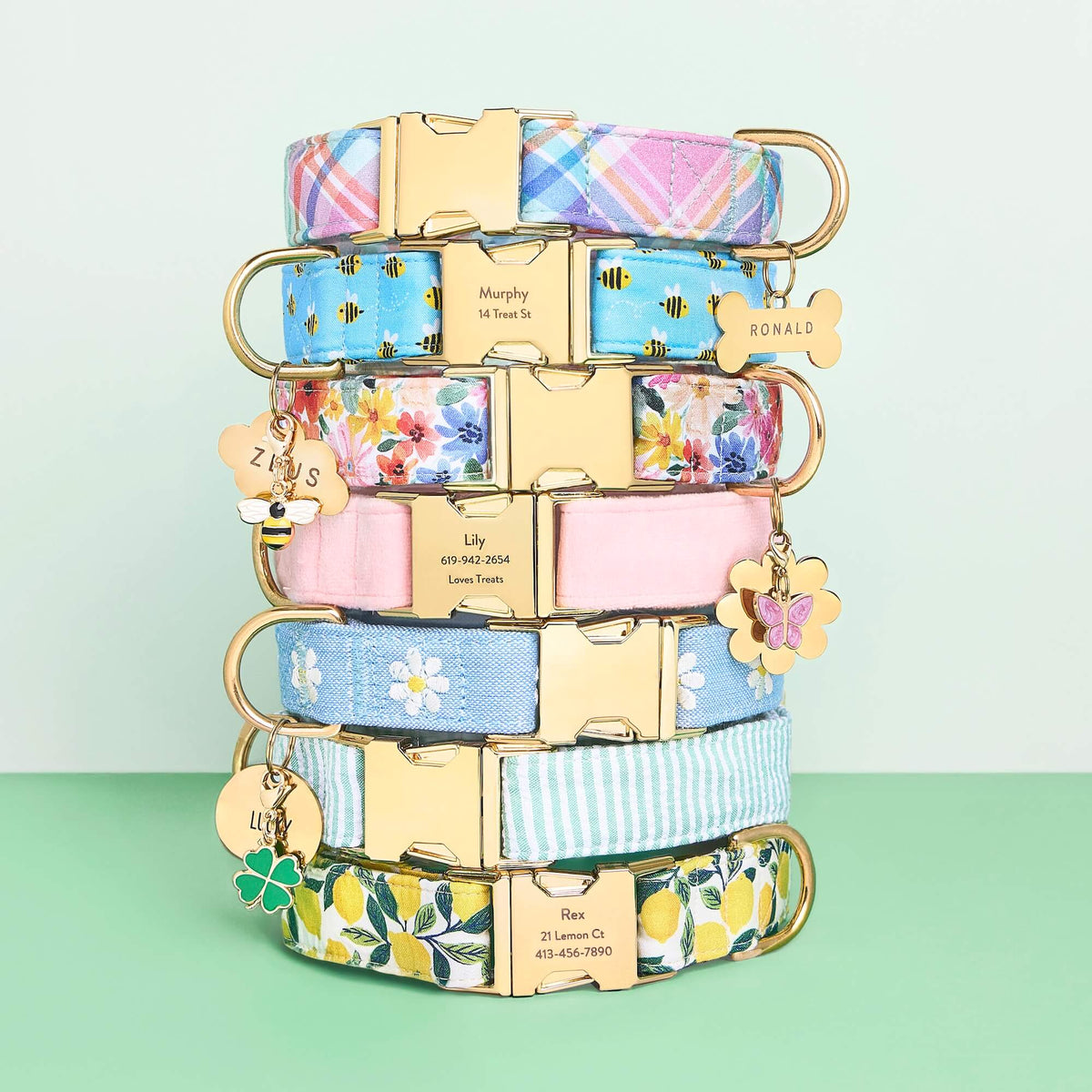 Sweet as Can Bee Dog Collar
