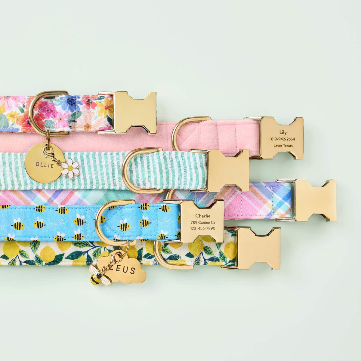 Sweet as Can Bee Dog Collar