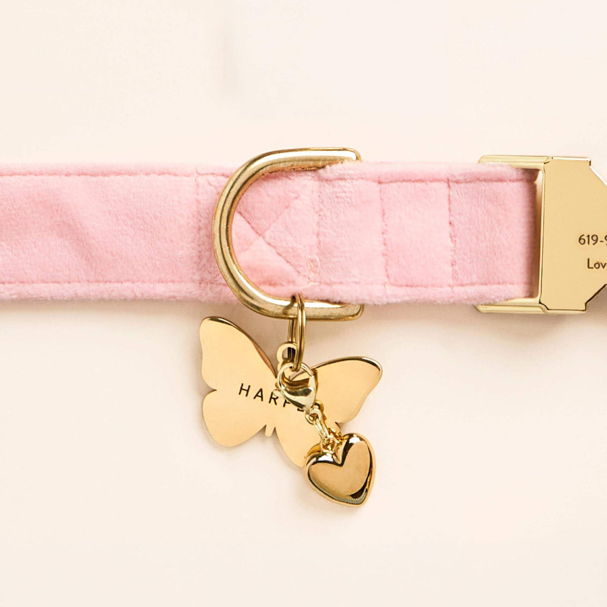 Blush Pink Velvet Dog Collar