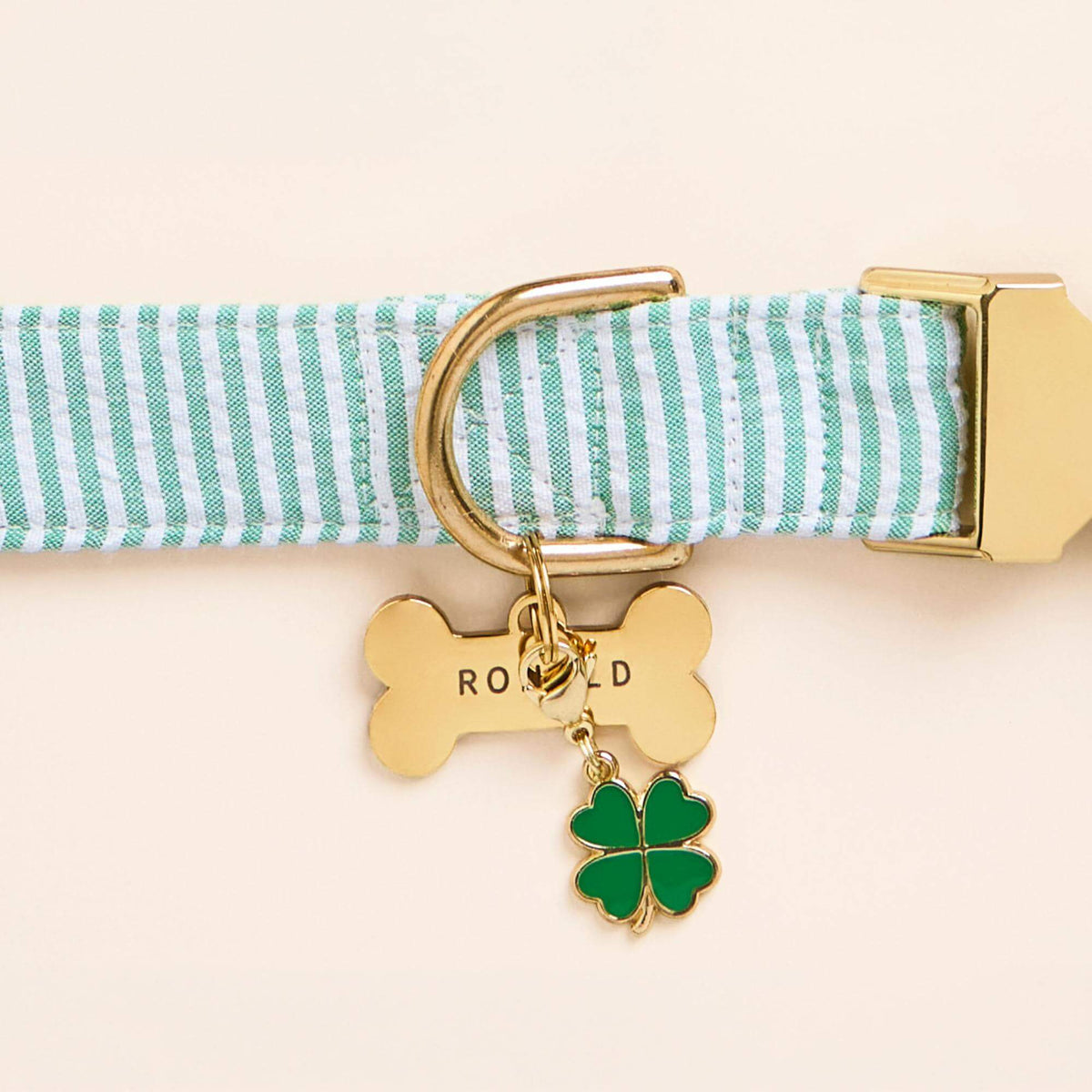 Bone Pet ID Tag