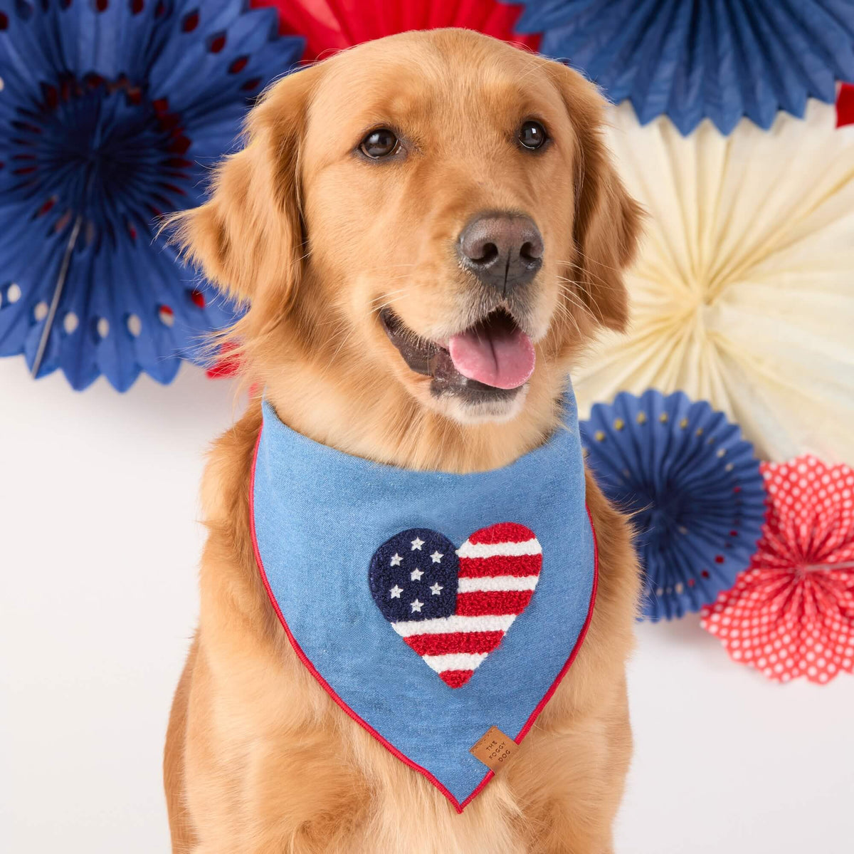 Americana Applique Dog Bandana