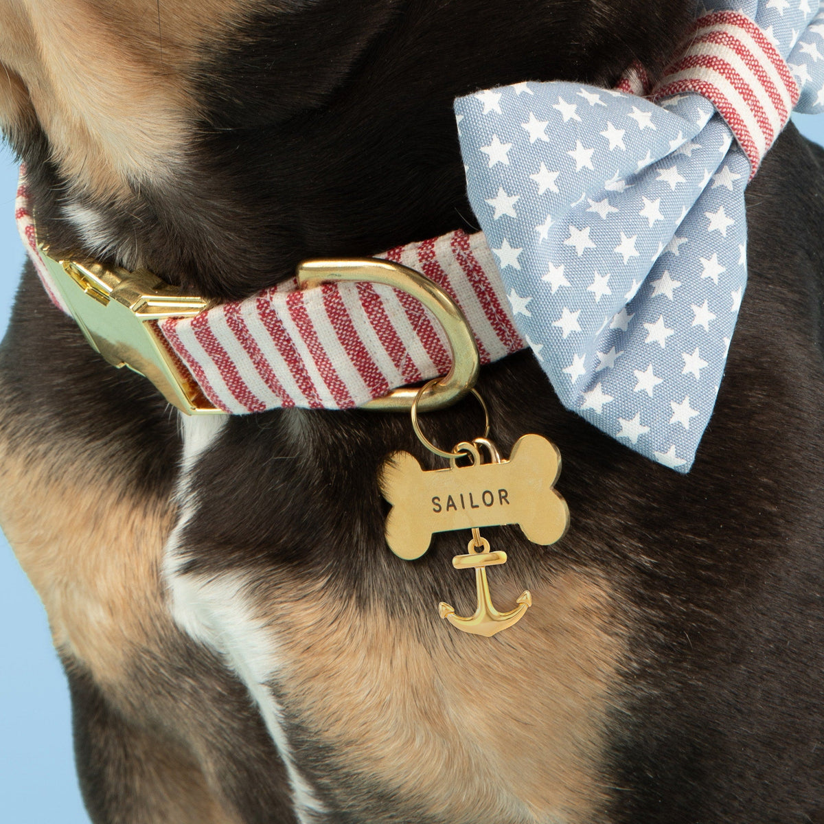 Gold Anchor Collar Charm