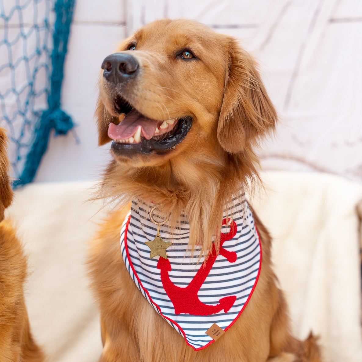 Anchor Applique Dog Bandana