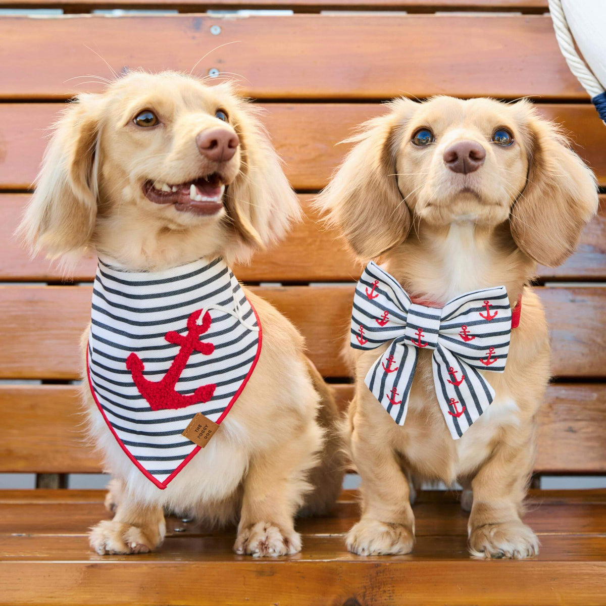Anchor Embroidered Lady Dog Bow