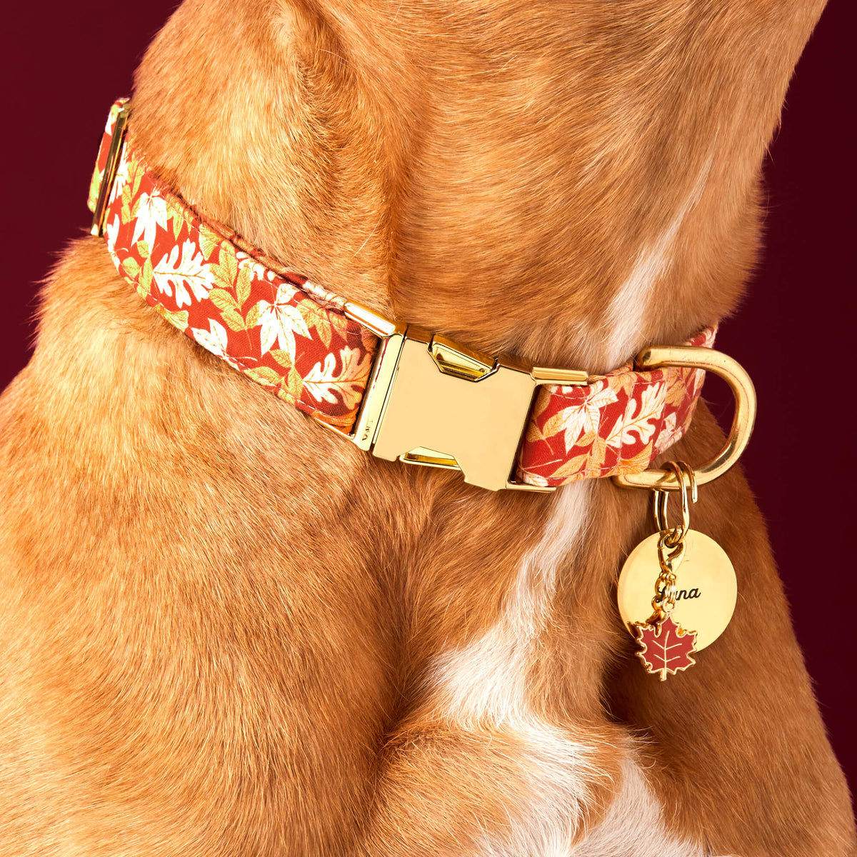 Circle Pet ID Tag