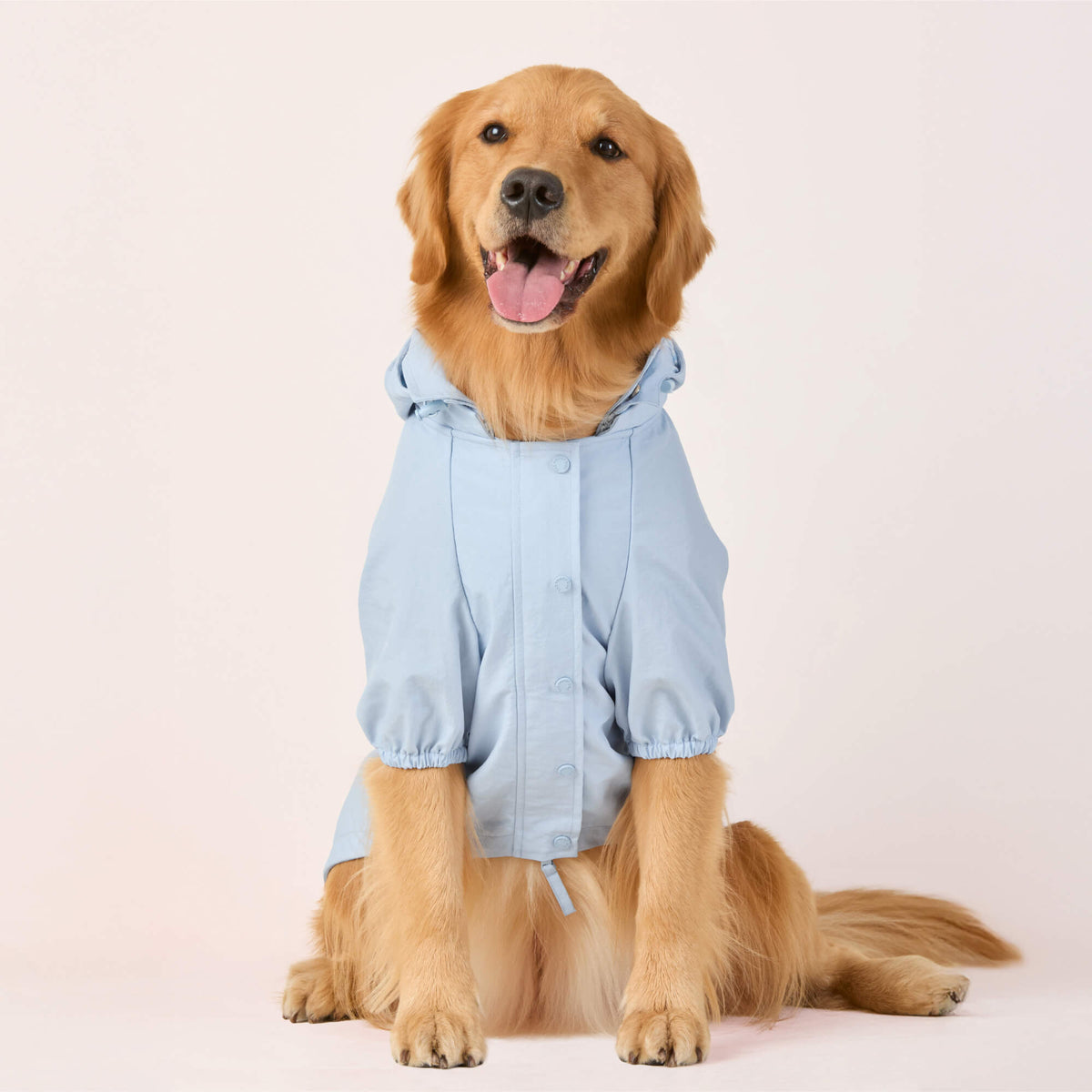 Sky Blue Dog Raincoat