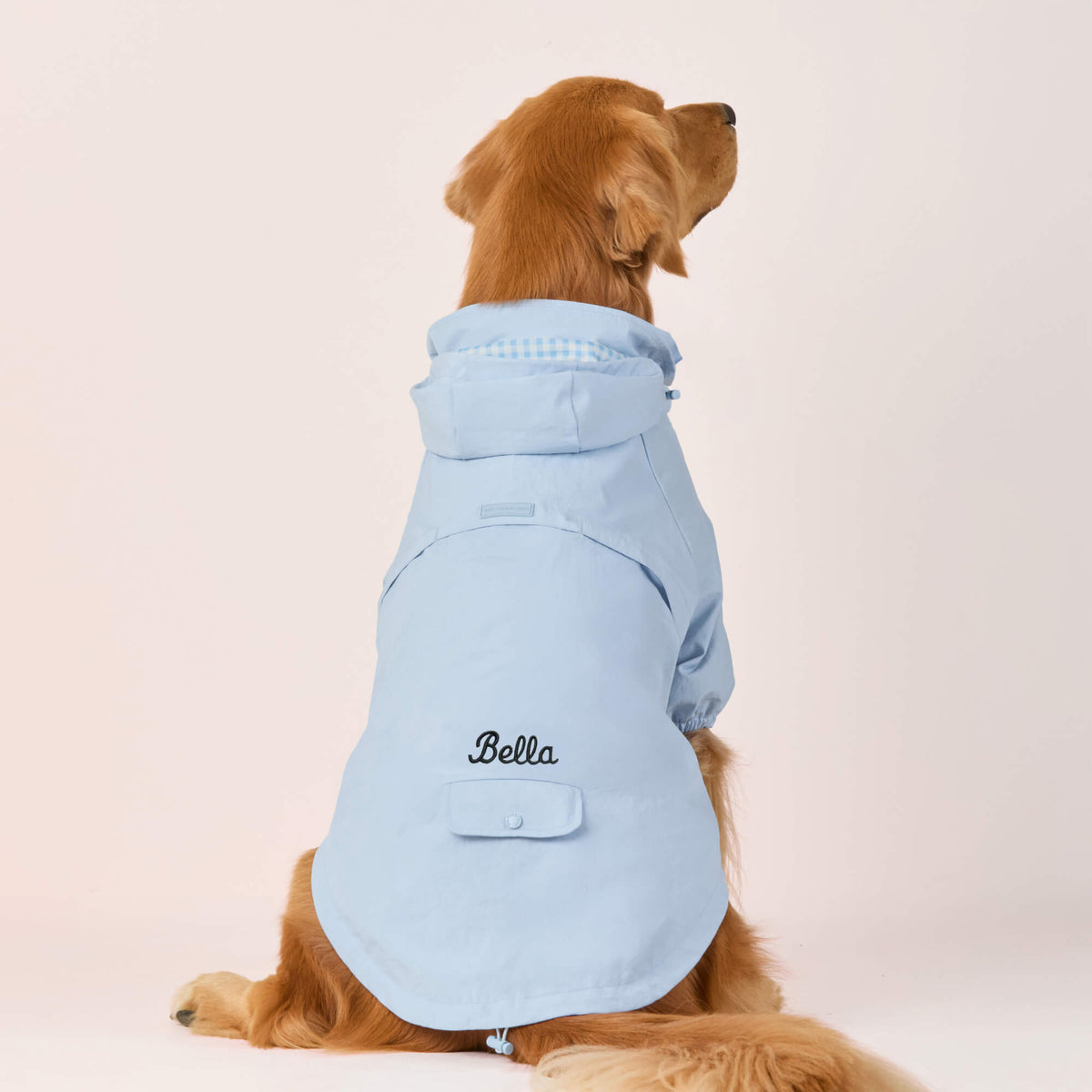 Sky Blue Dog Raincoat