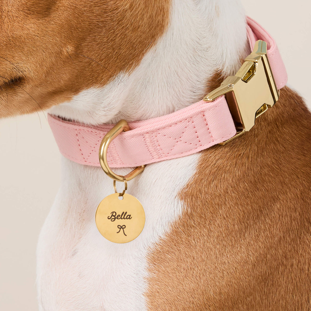 Circle Pet ID Tag: Bow Icon