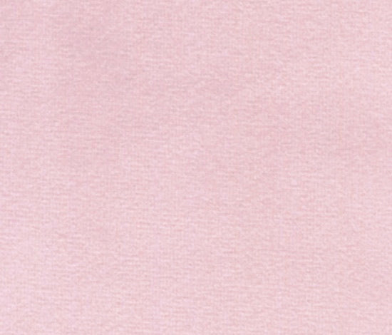Blush Pink Velvet Dog Collar