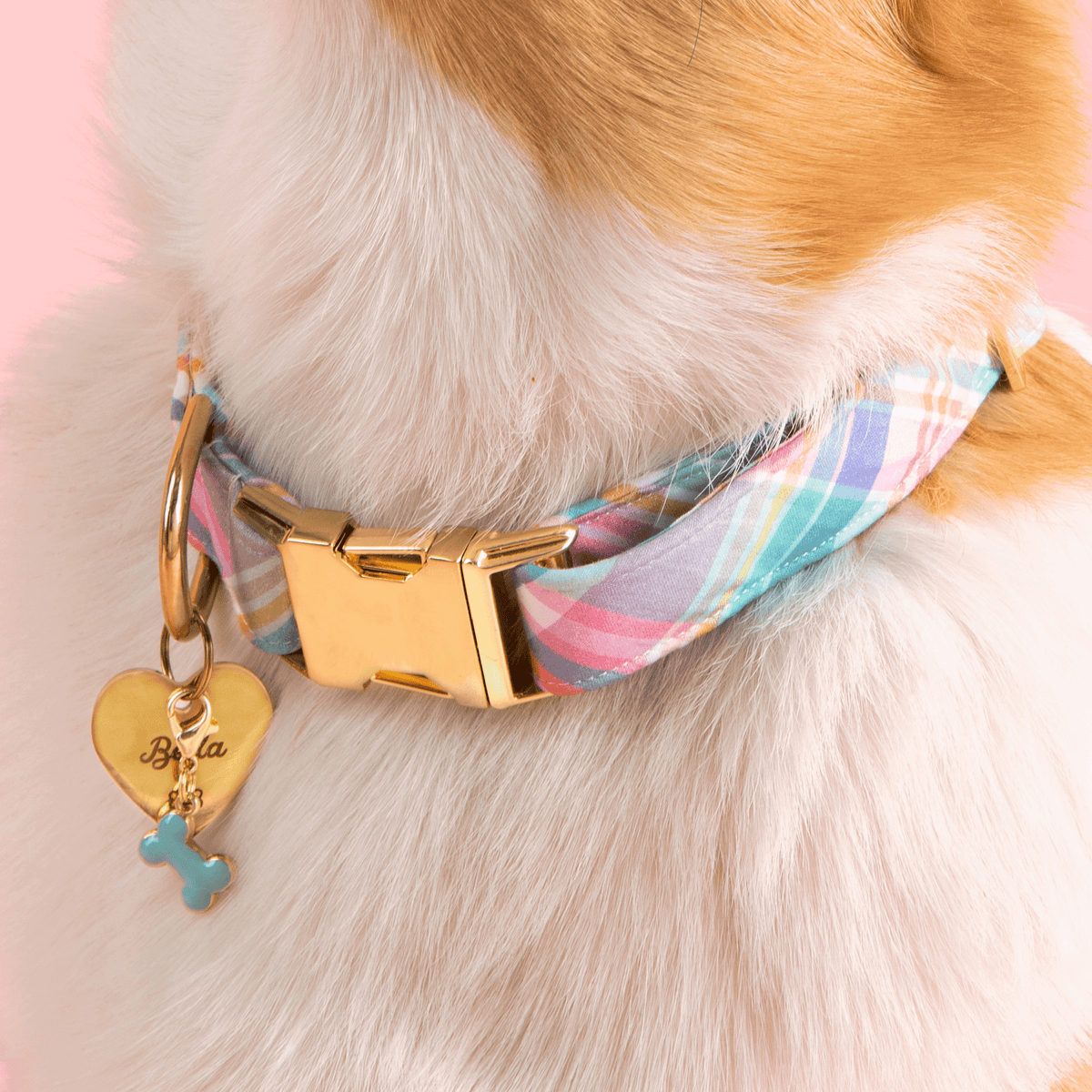 Bone Collar Charm