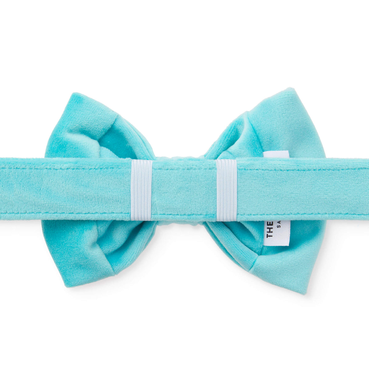 Robin’s Egg Velvet Dog Bow Tie