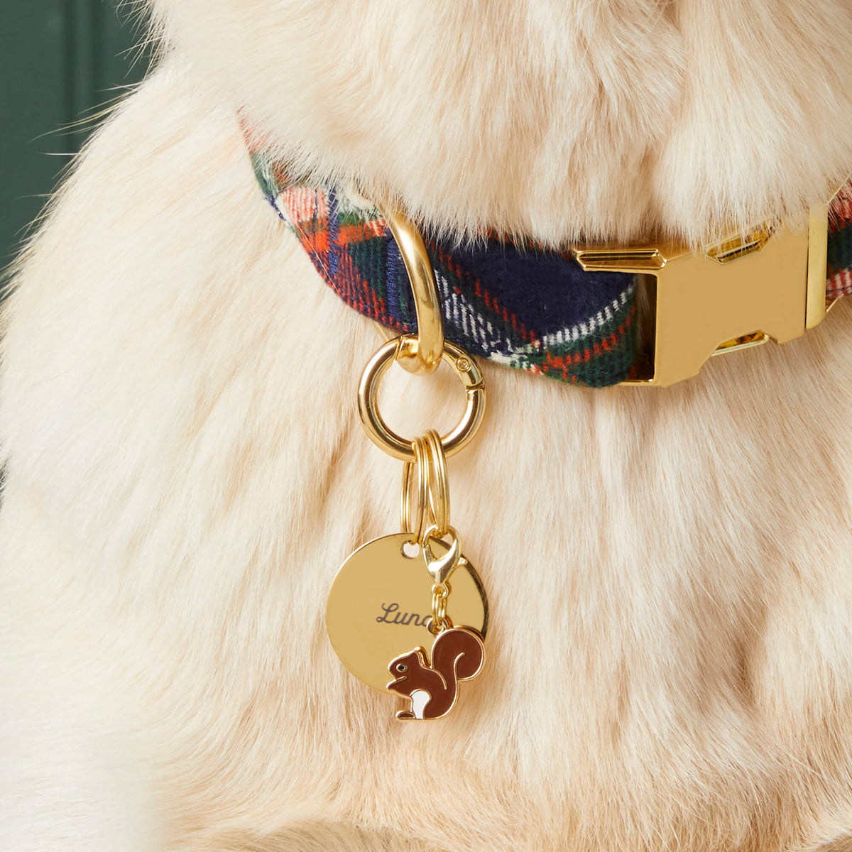 Pet Tag Keeper