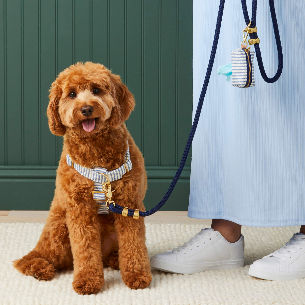Ocean Marine Rope Dog Leash