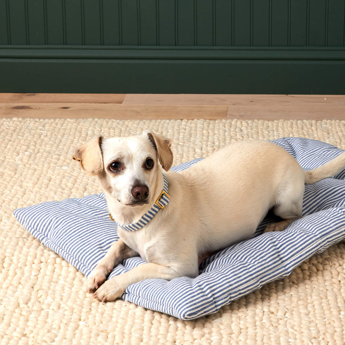 Lake Blue Stripe Bolster Dog Bed