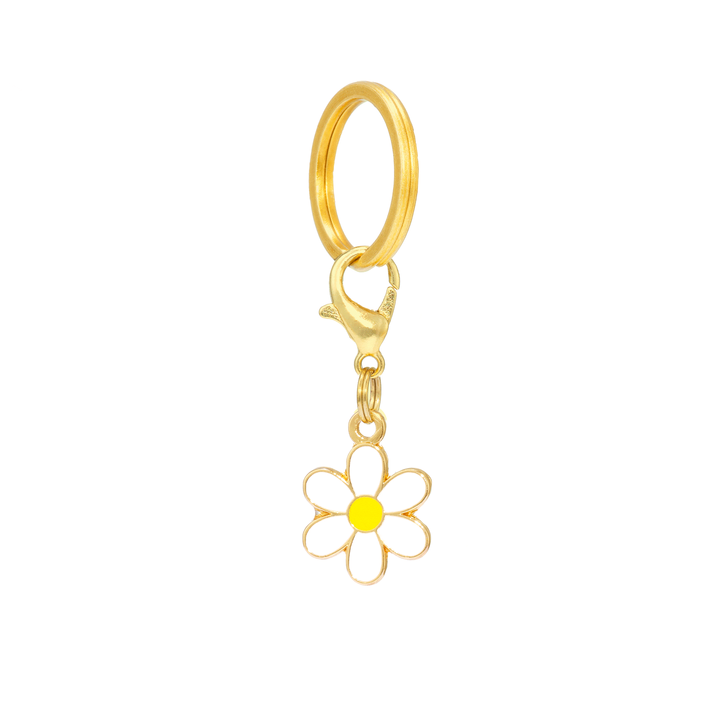 Strawberry Patch Collar Charm Set