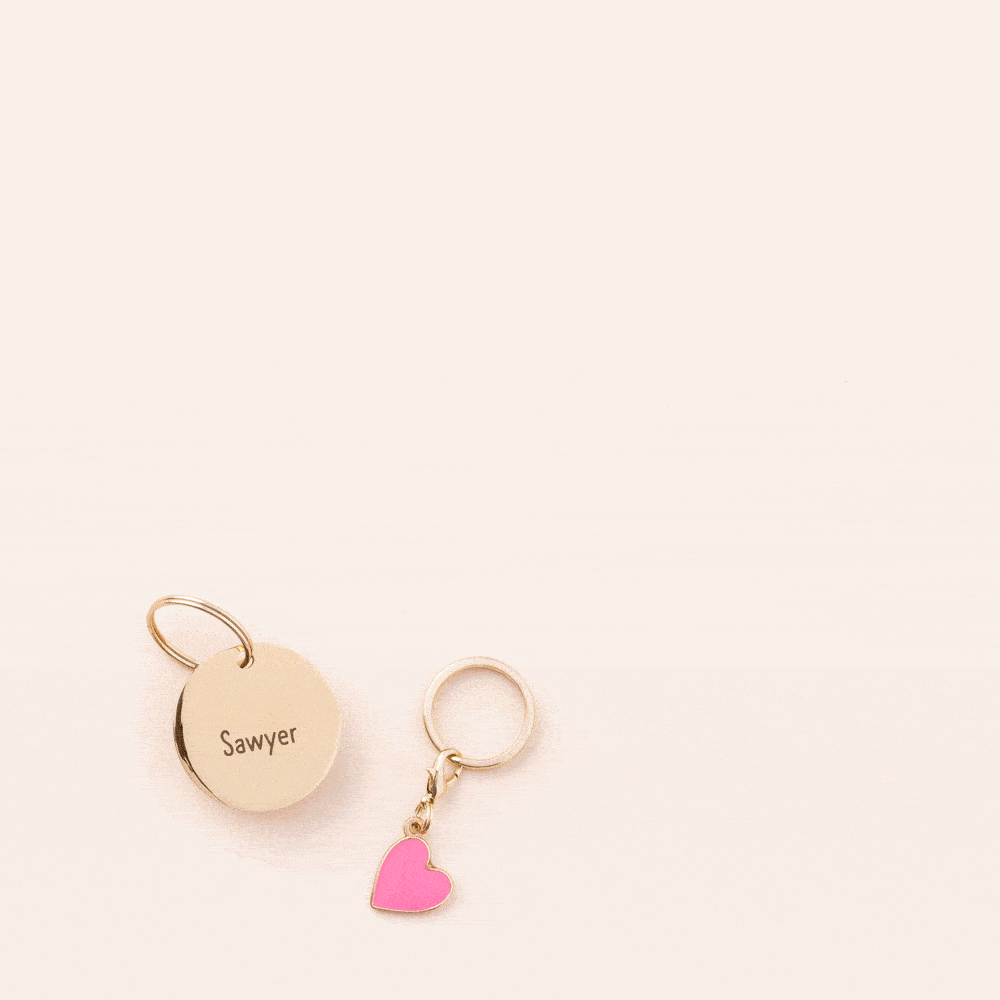 Gold Teddy Bear Collar Charm