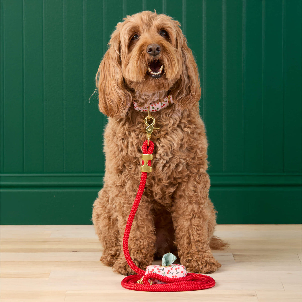 Cherry Jubilee Collar Walk Set