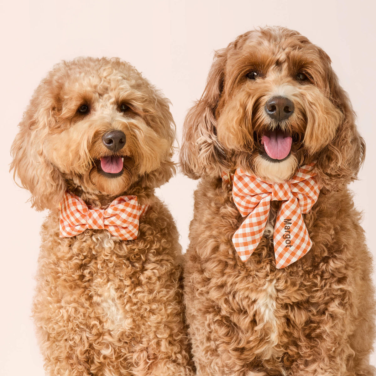 Cider Gingham Lady Bow Collar