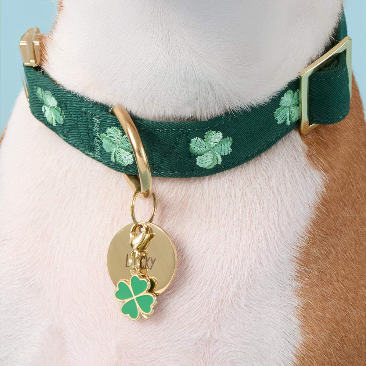 Clover Embroidered Dog Collar
