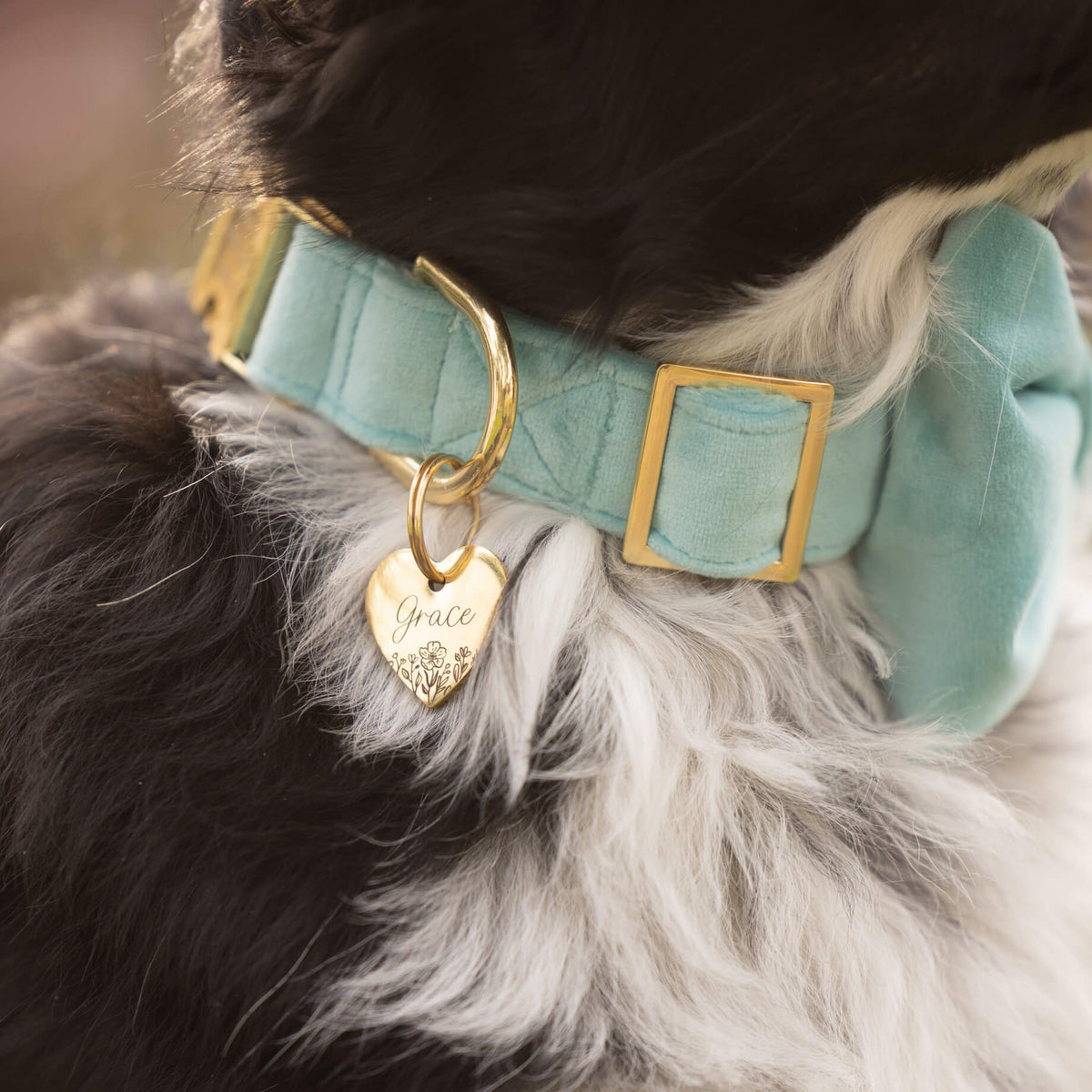Robin’s Egg Velvet Bow Tie Collar