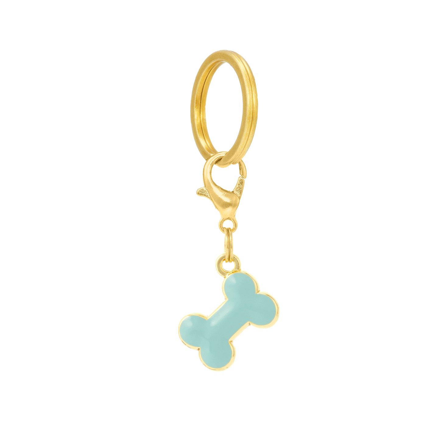 Bone Collar Charm