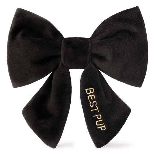 Black Velvet Lady Dog Bow