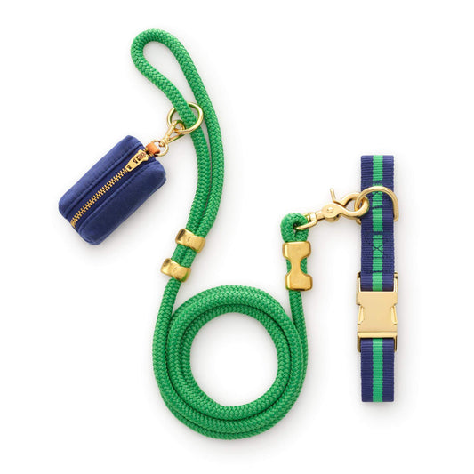 Camden Striped Webbing Collar Walk Set