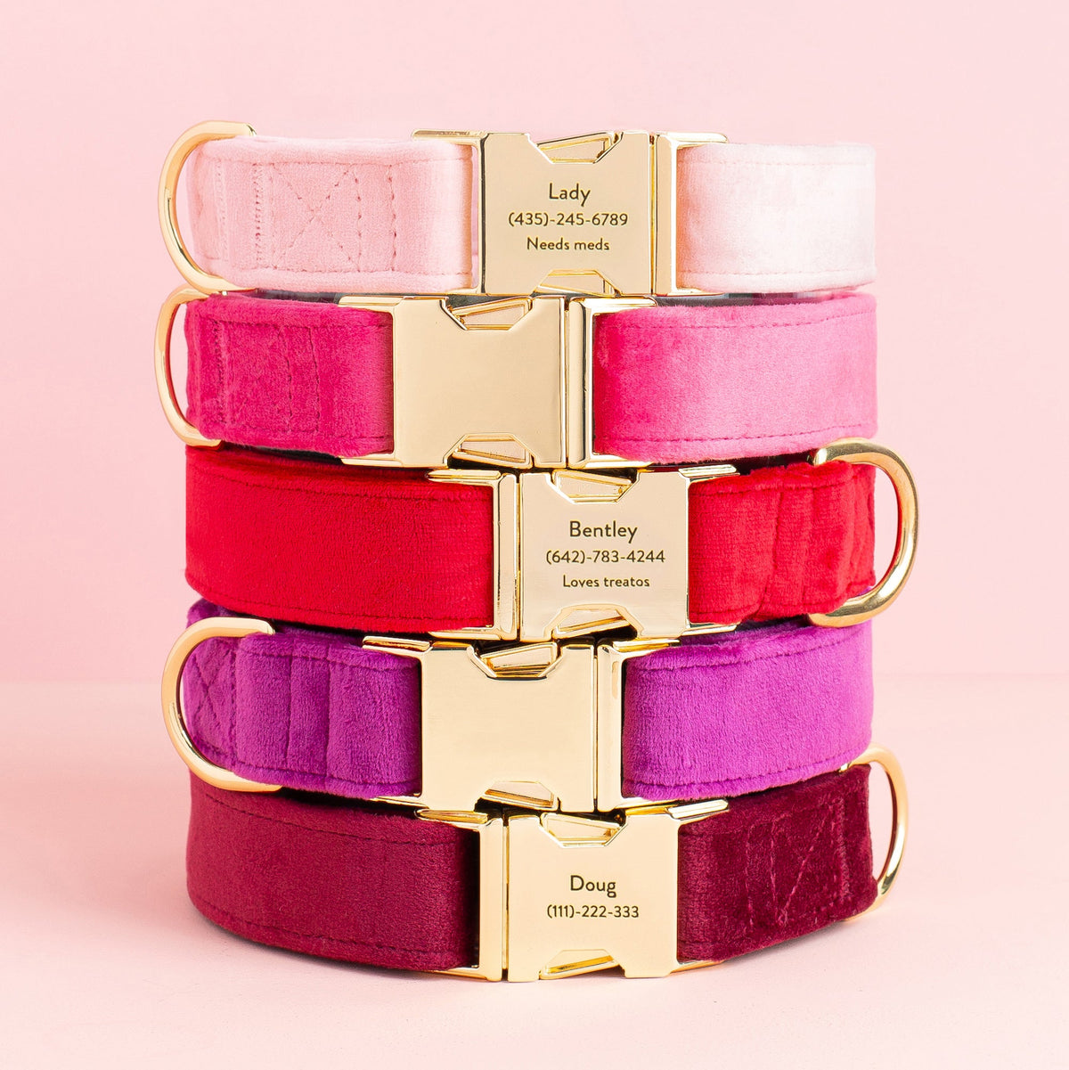 Hot Pink Velvet Dog Collar