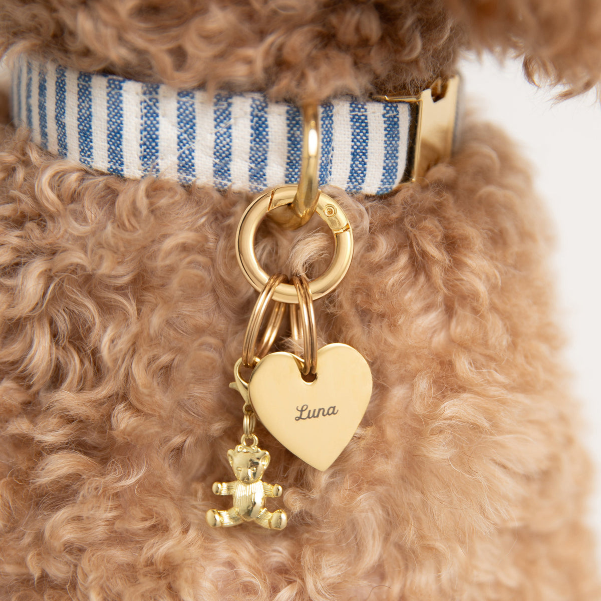 Pet Tag Keeper