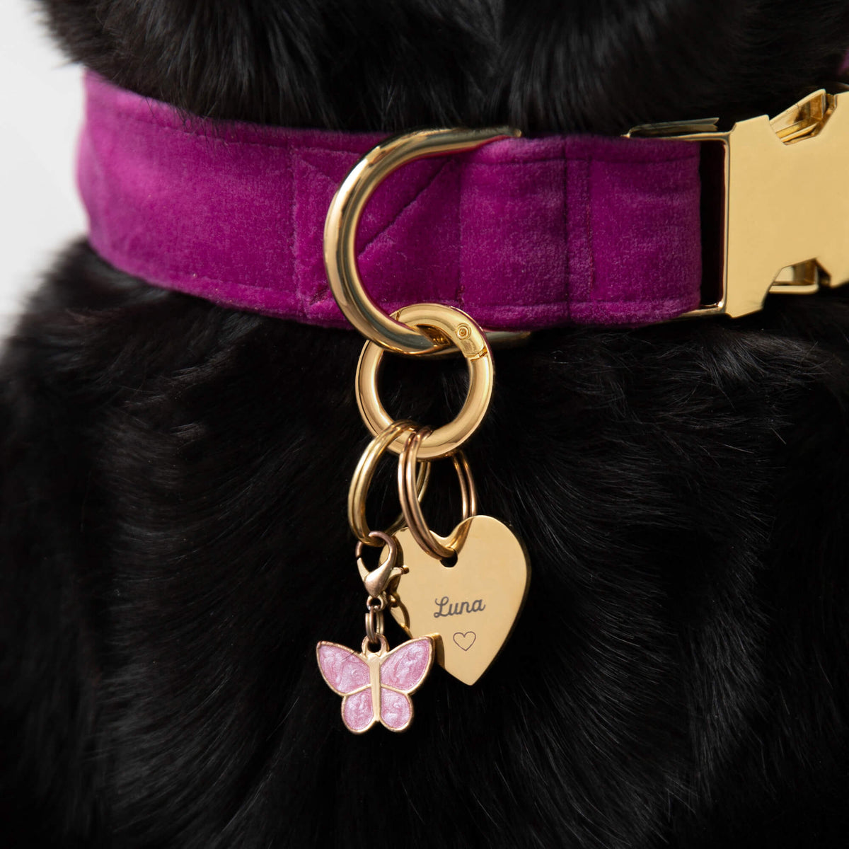 Heart Pet ID Tag: Heart Icon