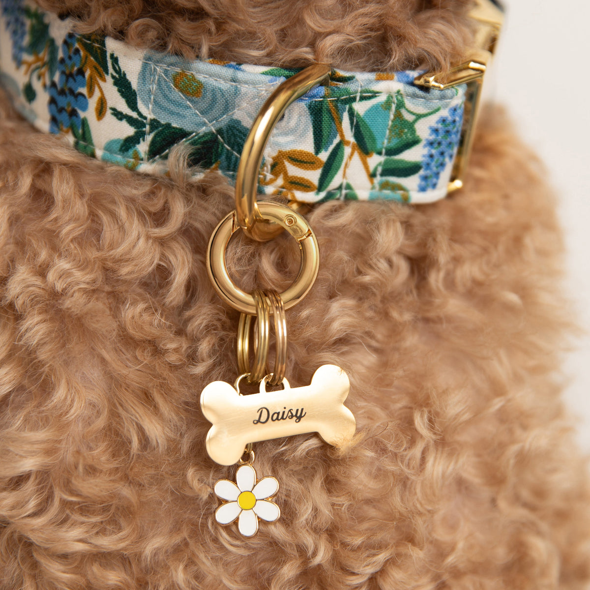 Pet Tag Keeper