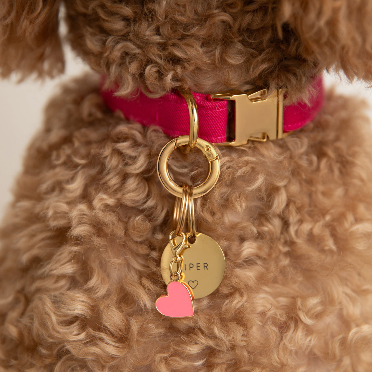 Circle Pet ID Tag: Heart Icon