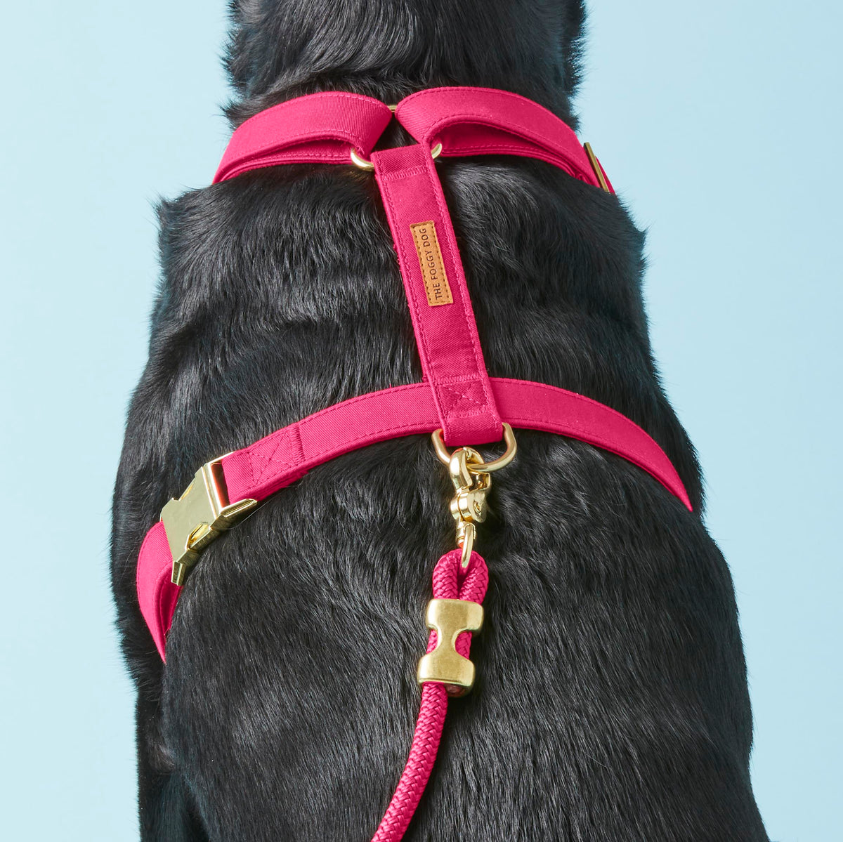 Hot Pink Dog Harness