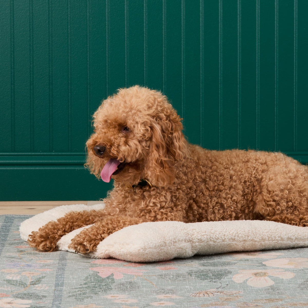 Ivory Recycled Sherpa Bolster Dog Bed