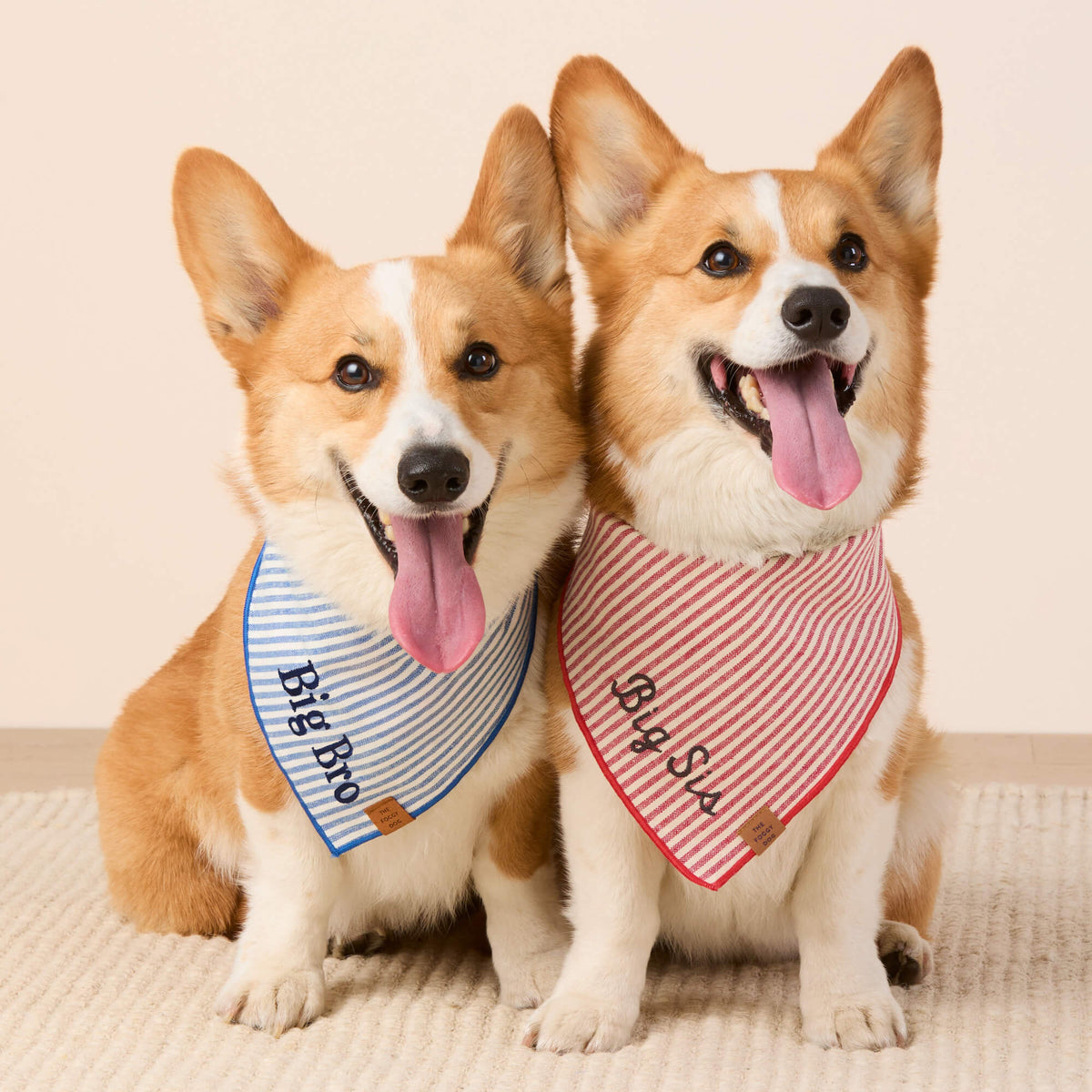 Lake Blue Stripe Dog Bandana