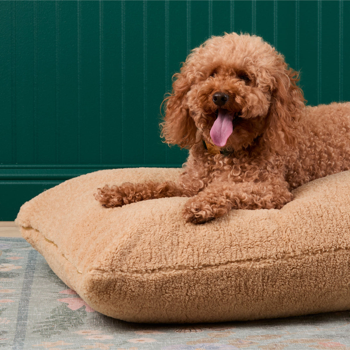 Latte Recycled Sherpa Dog Bed