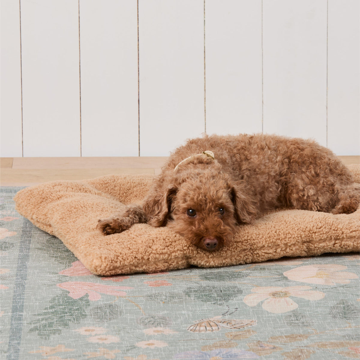 Latte Recycled Sherpa Bolster Dog Bed