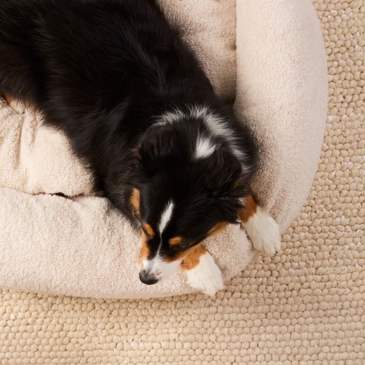 Ivory Recycled Sherpa Bolster Dog Bed