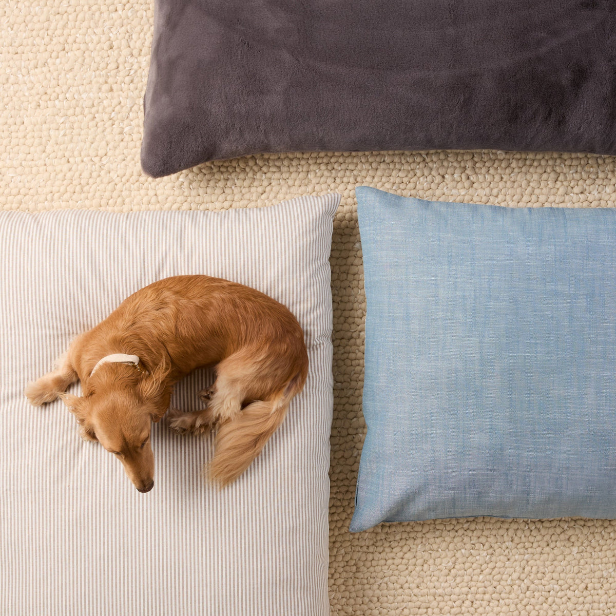 Mushroom Brown Stripe Dog Bed