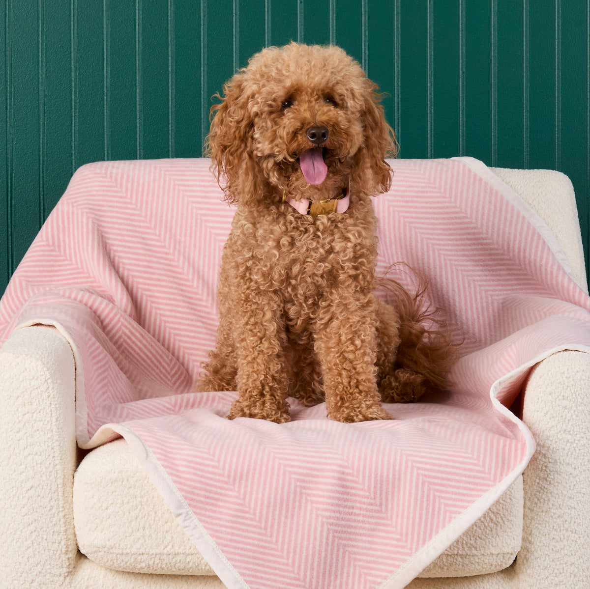 ChappyWrap Harborview Herringbone Blush Dog Blanket